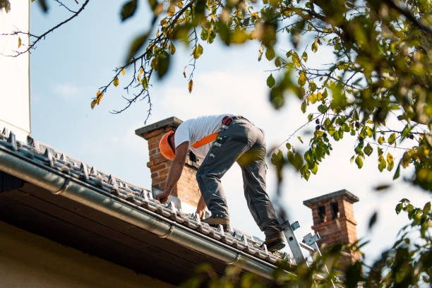 Best Roof Installation  in Homer, MI